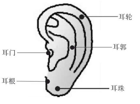 耳朵痣位置|耳朵痣的位置与命运图解大全